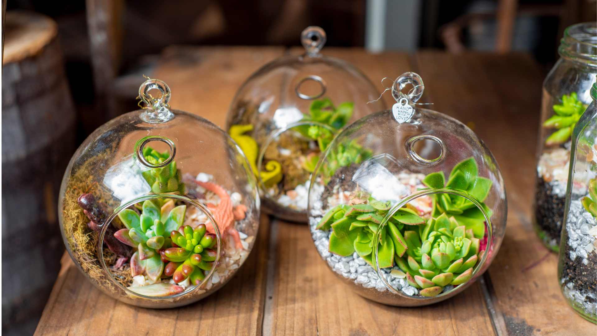 Meg Img Building Terrarium.jpg