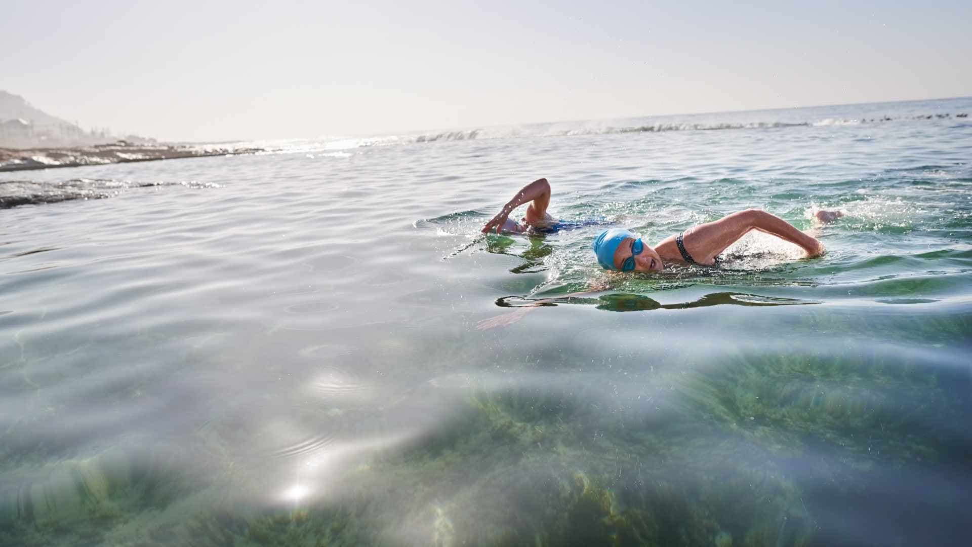 SwimsuitsefsDV.jpg