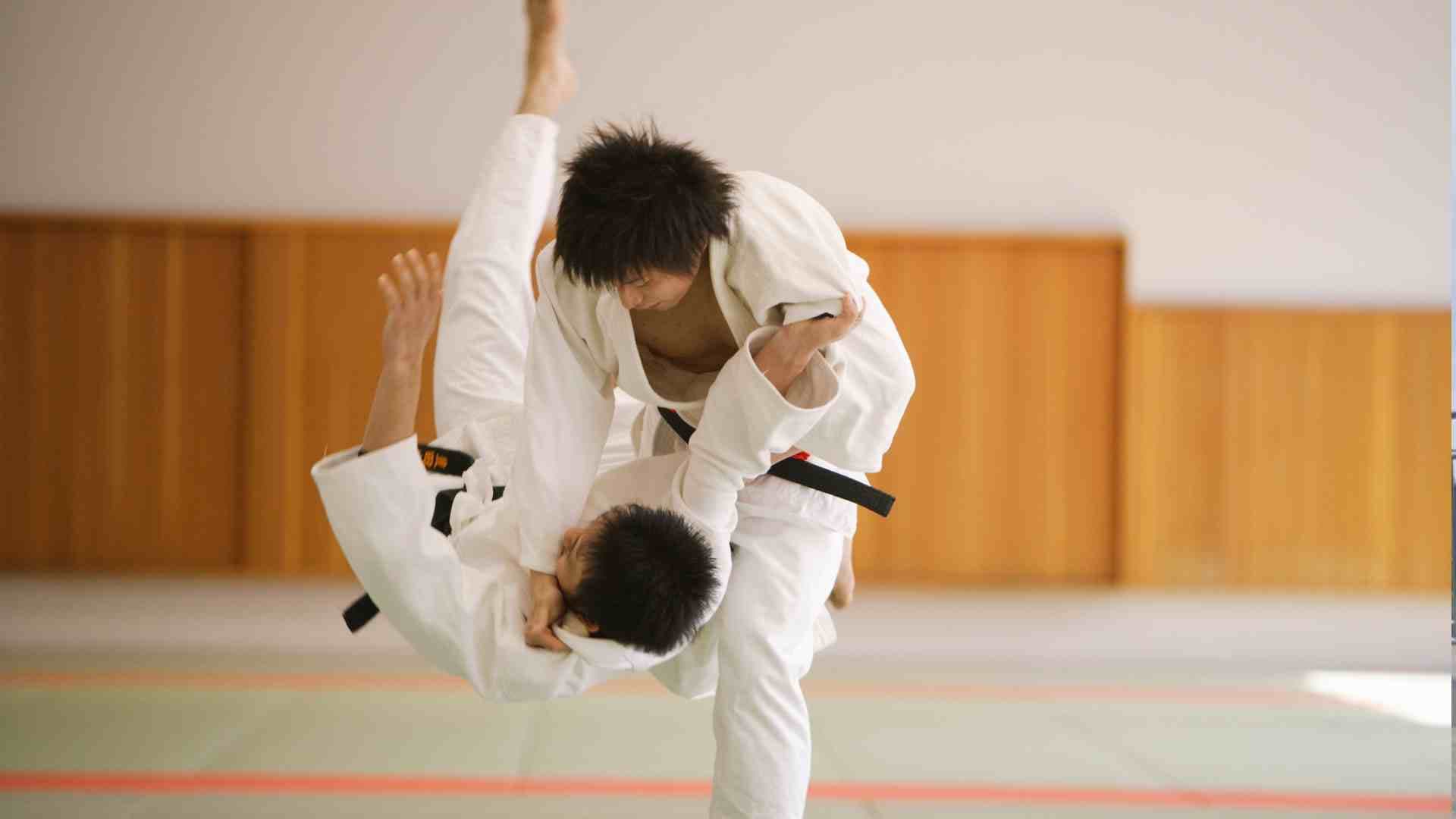 Qiqong martial arts A.jpg