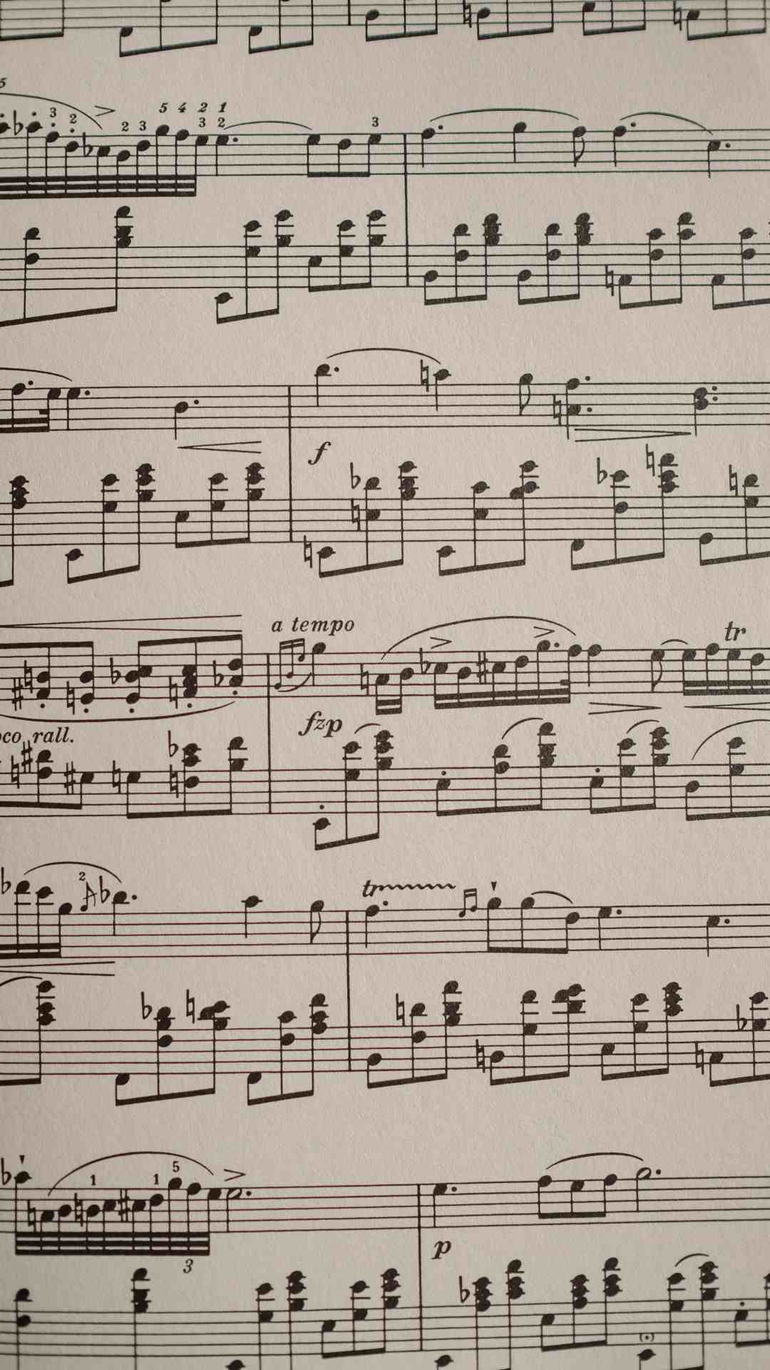 music theo.jpg