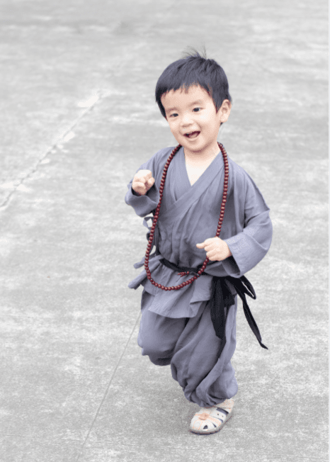 Shaolin - Kung Fu 1.png