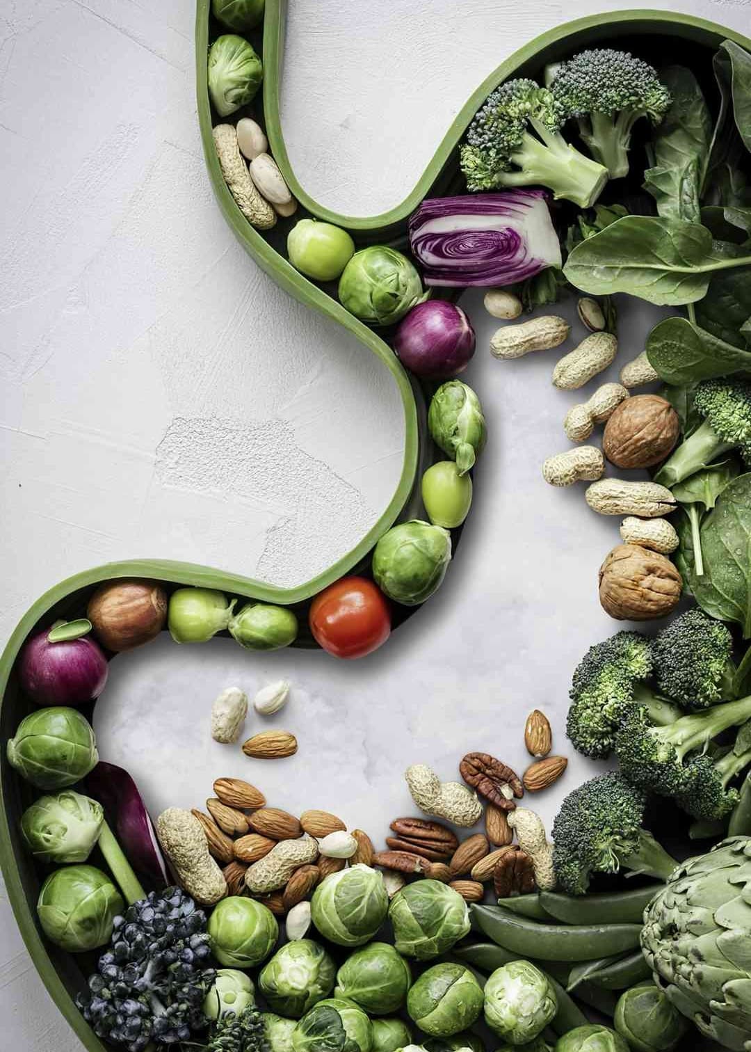 Nutrition and diet.jpg