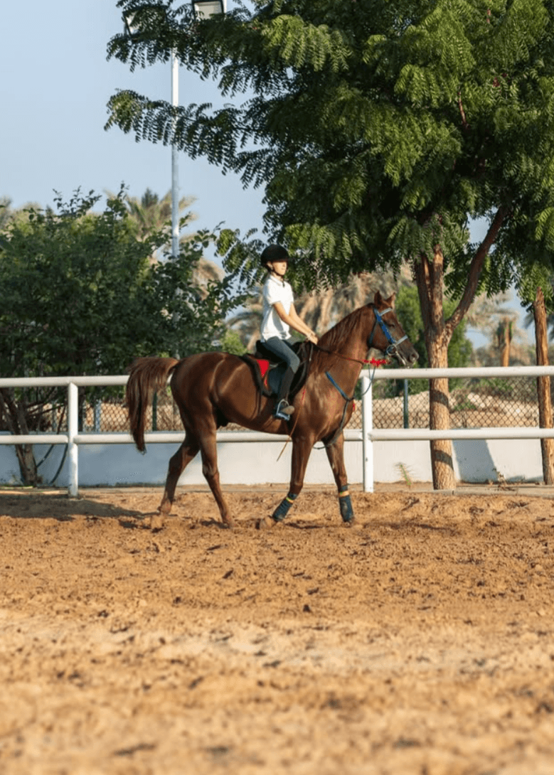 Horse Riding Lesson Image.png