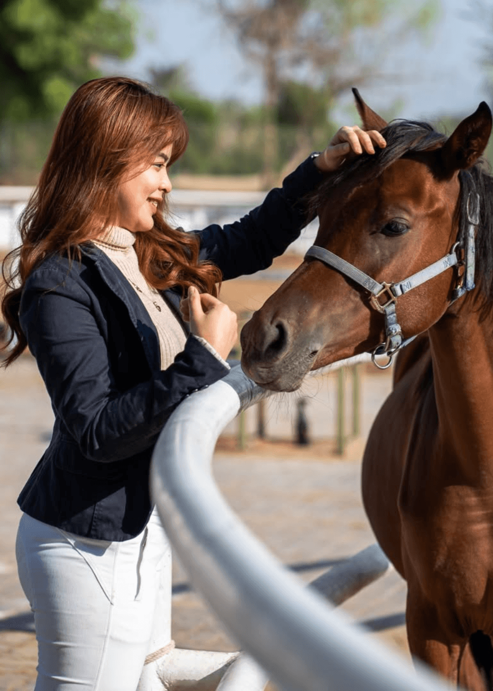Horse Riding Lesson Image 1.png