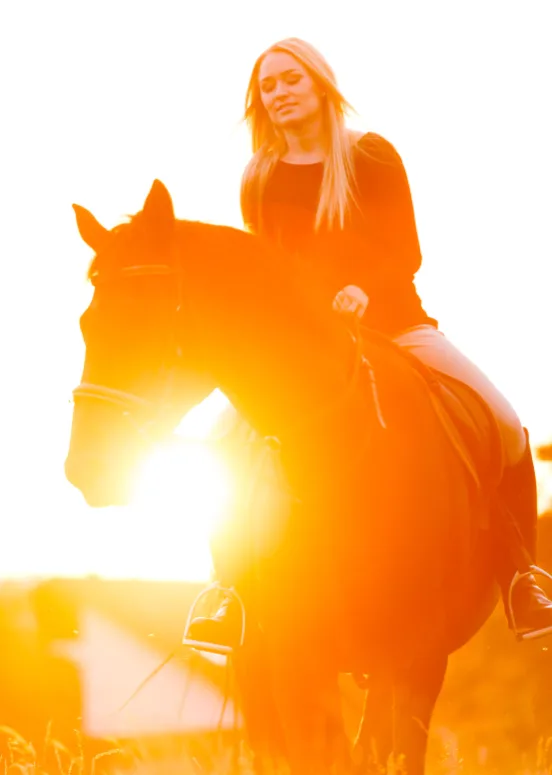 Ladies Horse Riding Class.webp
