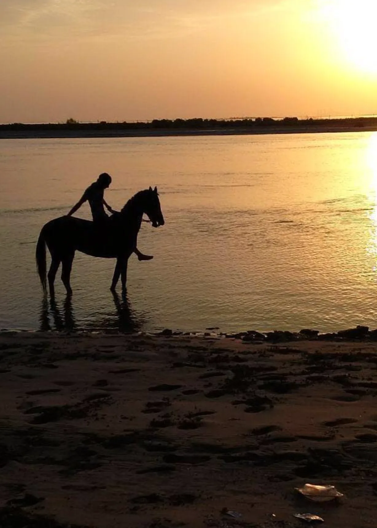 Evening Beach Horse Riding Class 1.webp