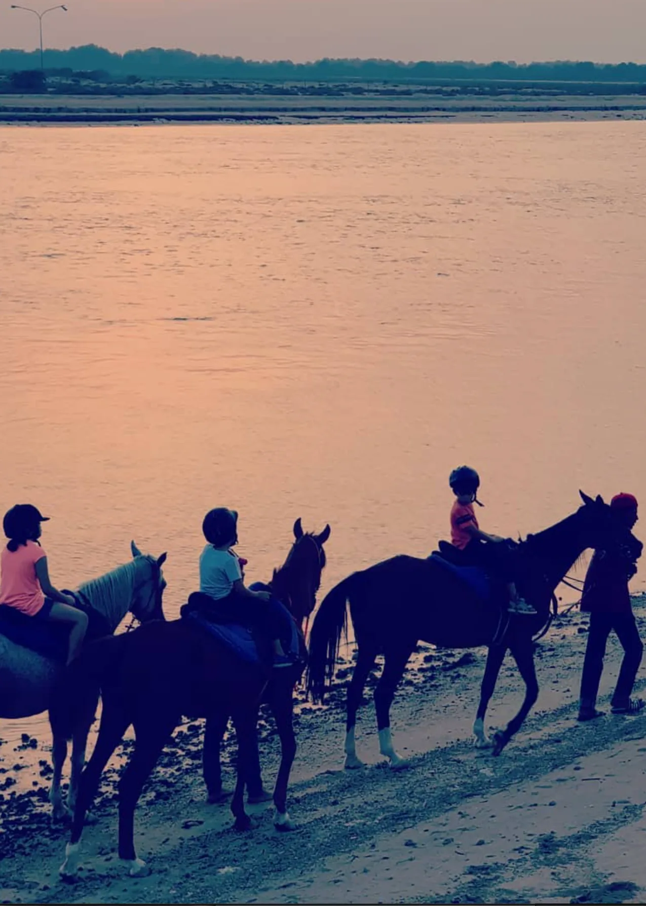 Evening Beach Horse Riding Class 2.webp