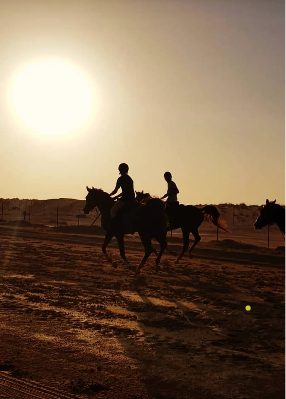 Evening Beach Horse Riding Class 3.webp