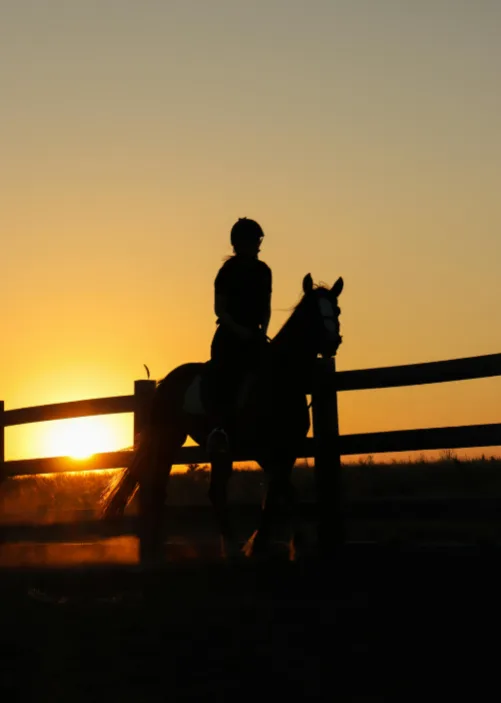 Evening Beach Horse Riding Class 4.webp