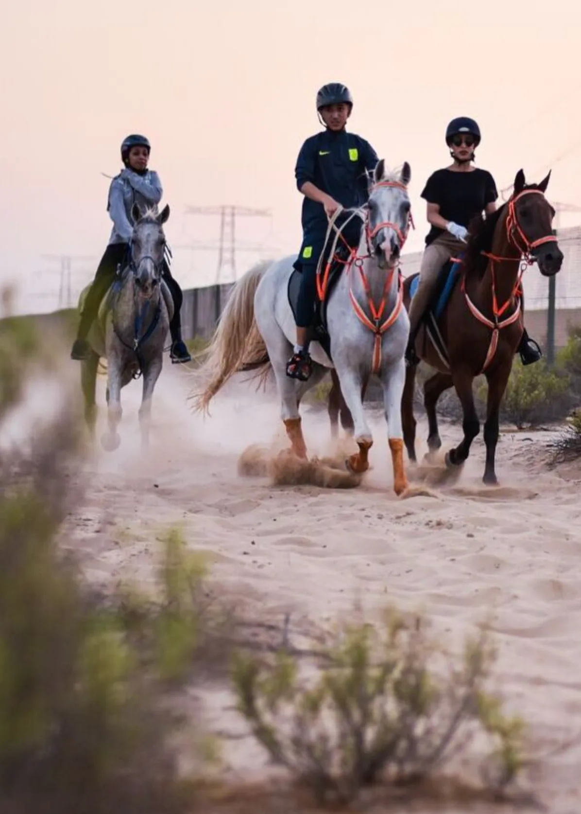 Desert Horse Riding Experience.webp