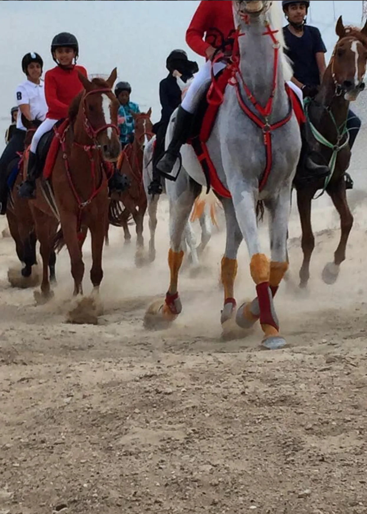 Desert Horse Riding Experience 2.webp