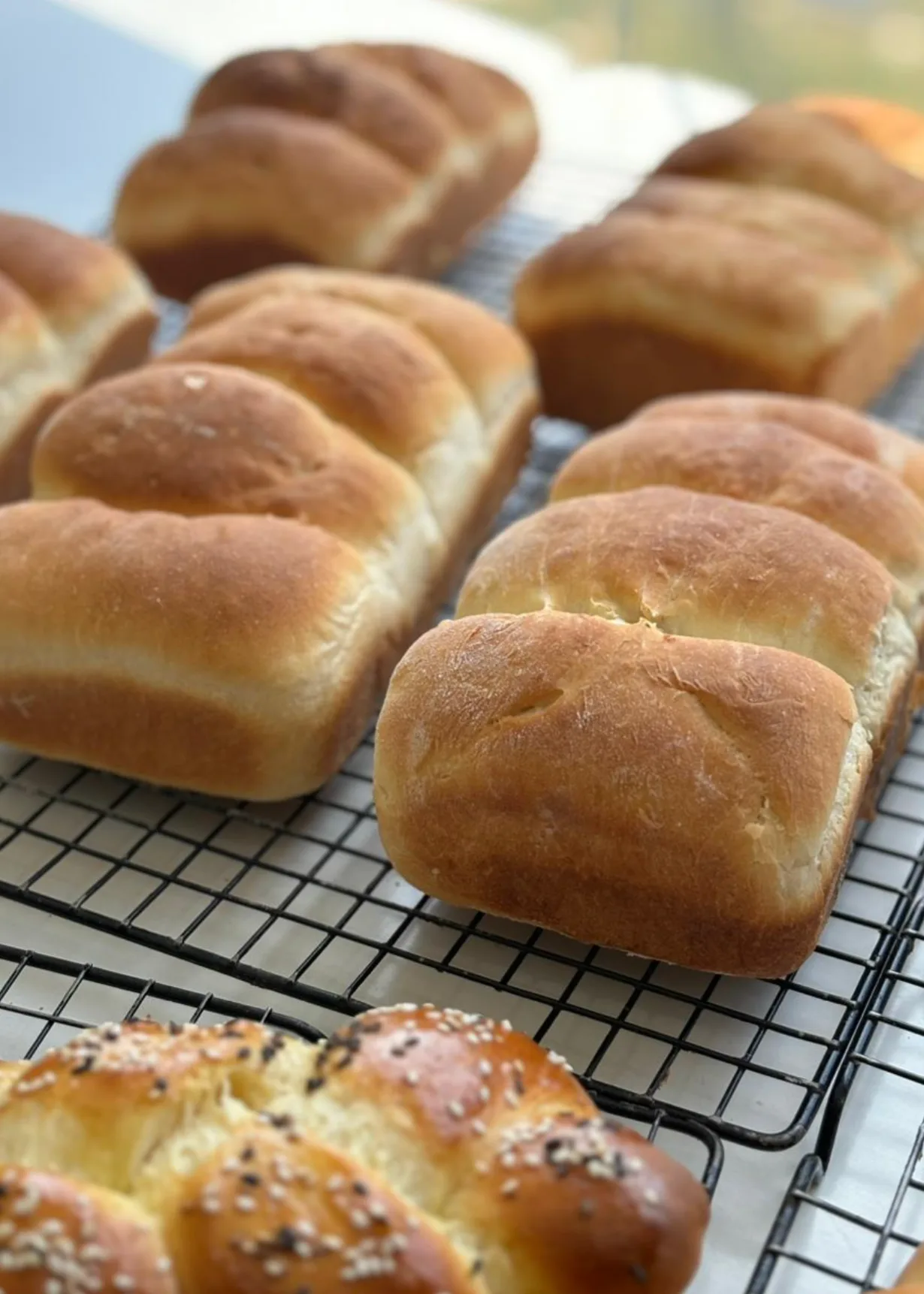 Fundamentals of Pastry Program 5.webp