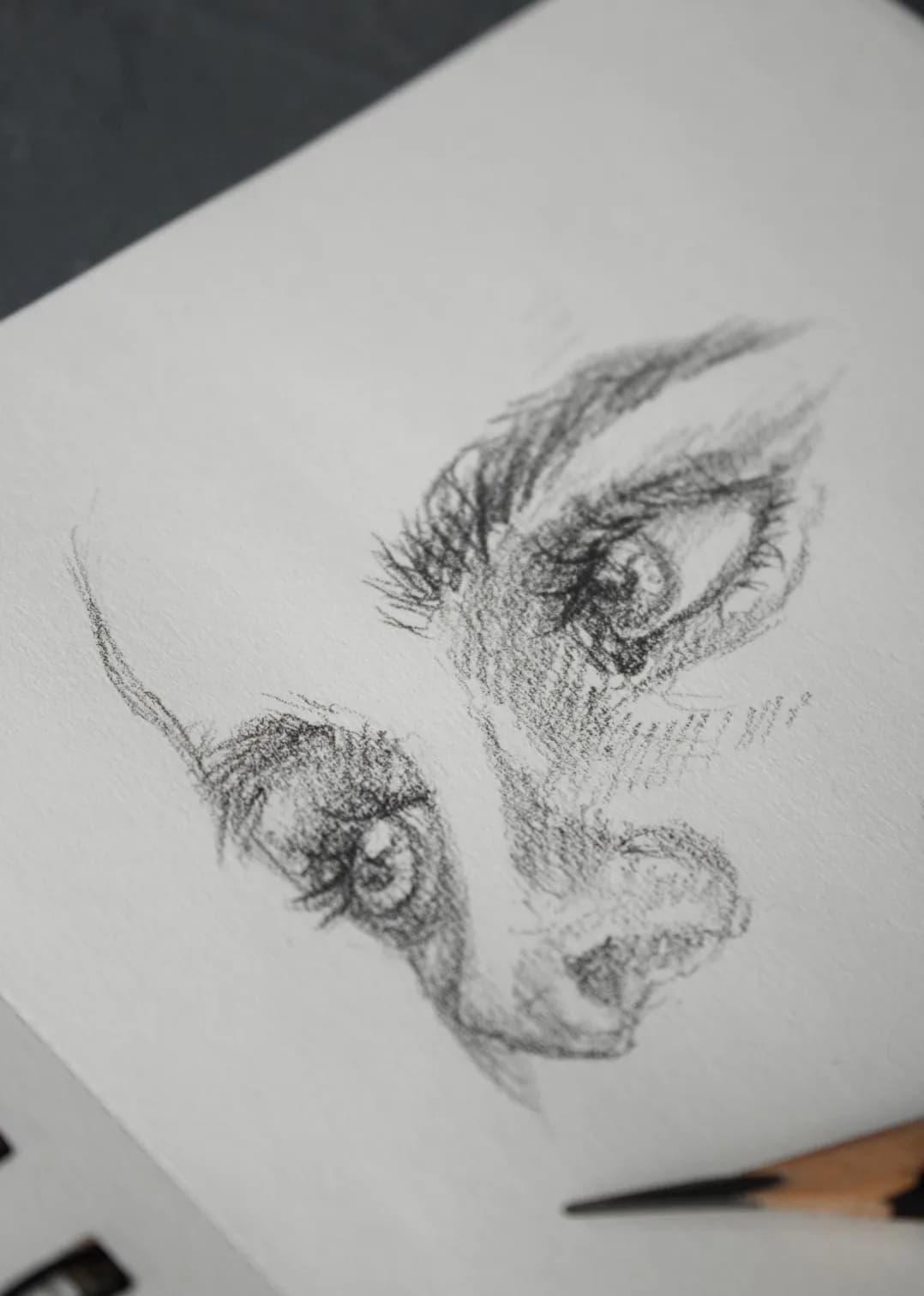 At-Home Private Drawing & Sketching.webp
