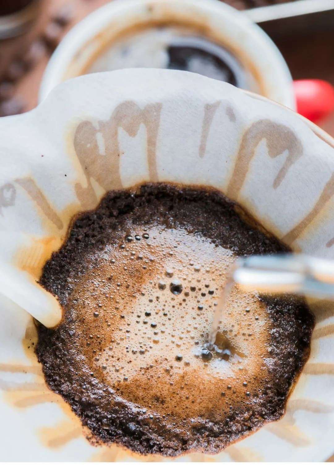 Coffee Tasting Workshop 3.webp
