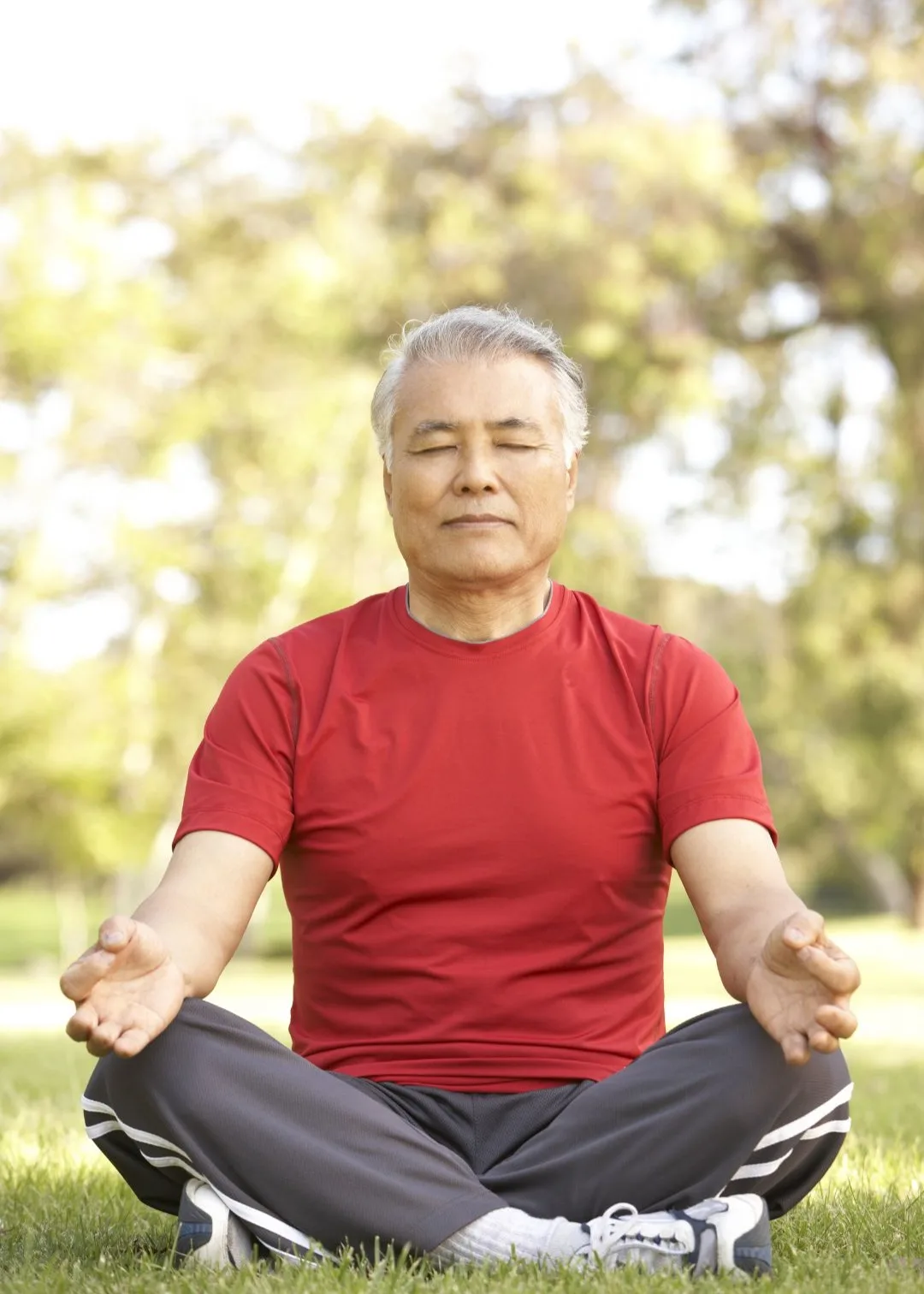 Therapeutic Yoga for Seniors.webp