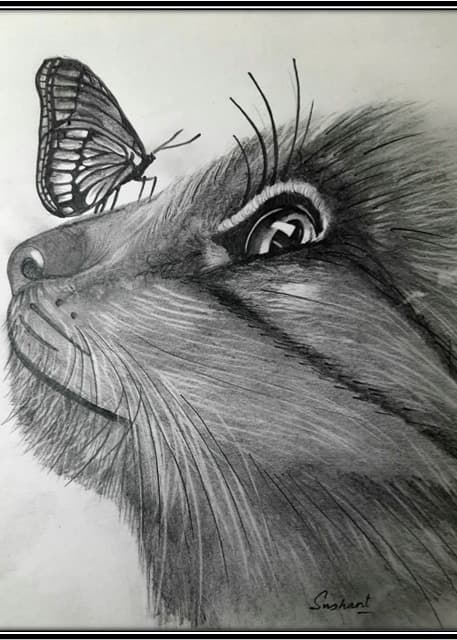 WhatsApp Image 2025-12-11 at 18.24.39.jpeg