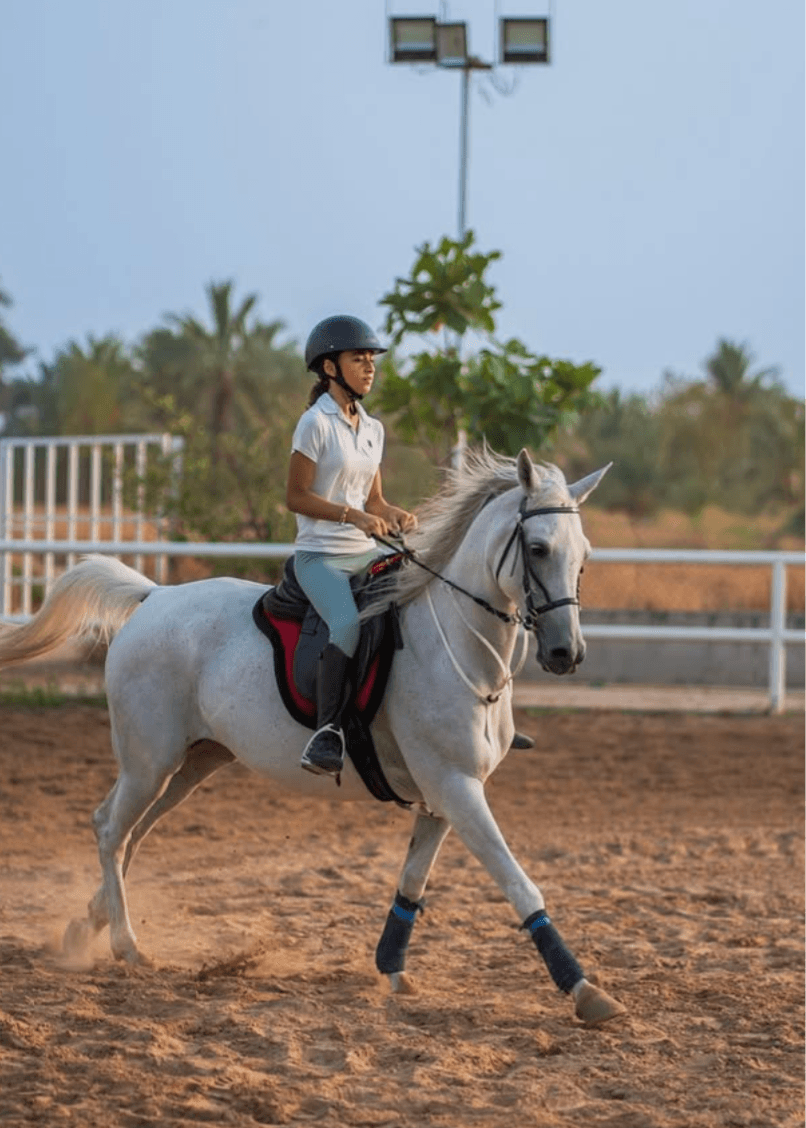 Group Horse Riding Class Image 2.png