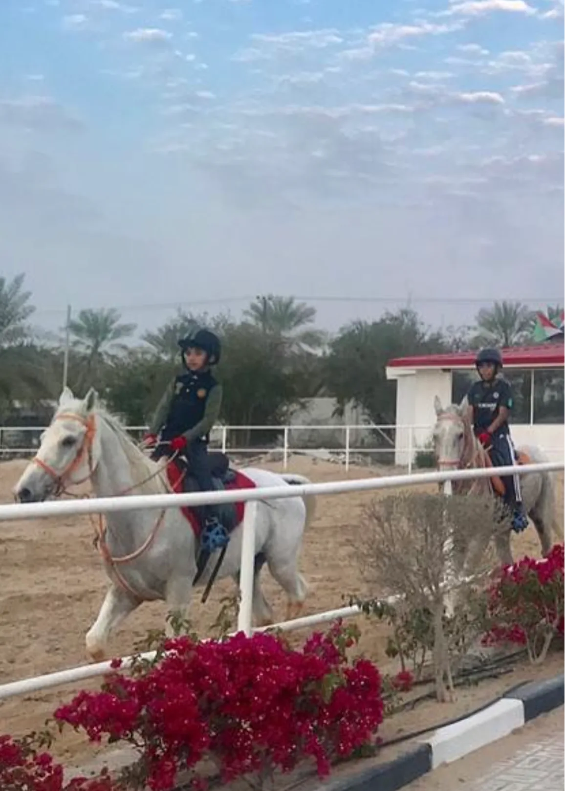 Private Horse Riding Lessons for Kids 1.webp