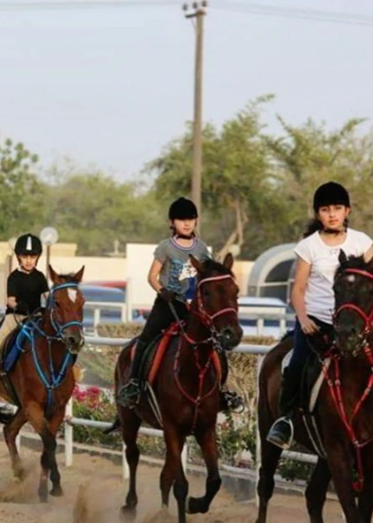 Private Horse Riding Lessons for Kids 2.webp