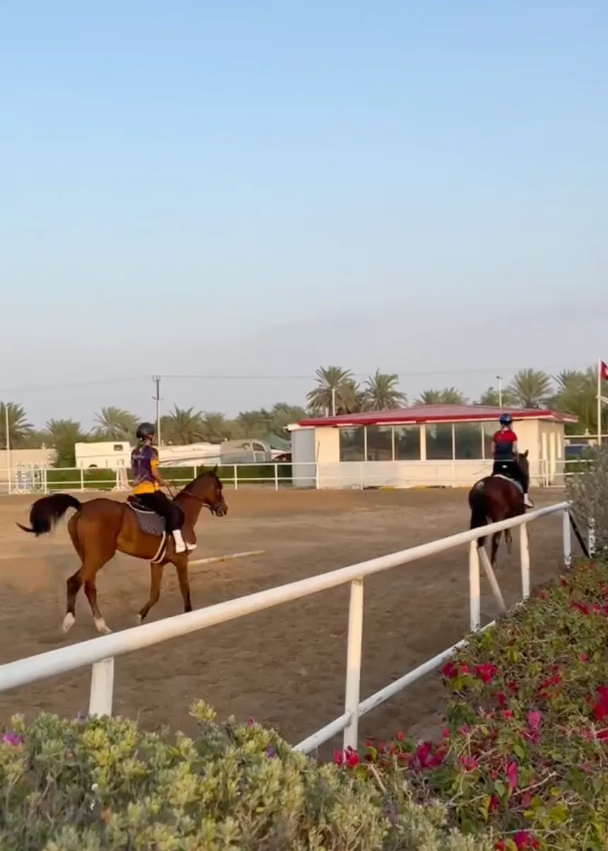 Private Horse Riding Lessons for Kids Image.webp