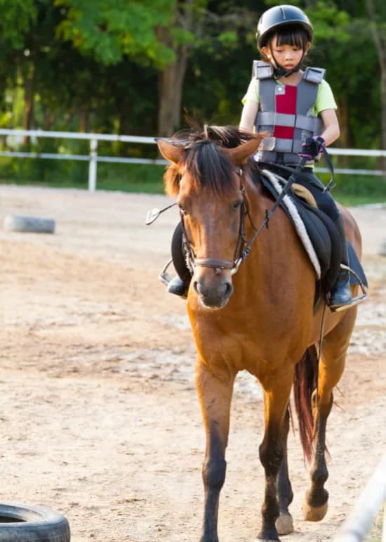 Private Horse Riding Lessons for Kids 3.webp