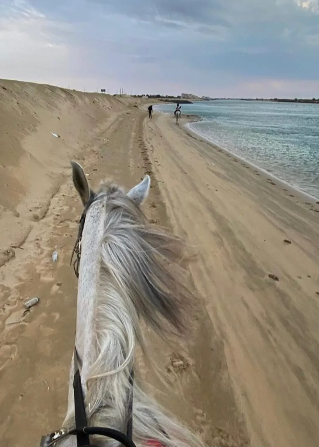 Morning Beach Horse Riding Experience 2.webp
