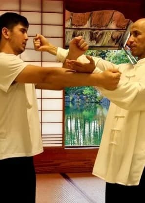 Learn Wing Chun At-Home for Adults with Coach Hicham.webp