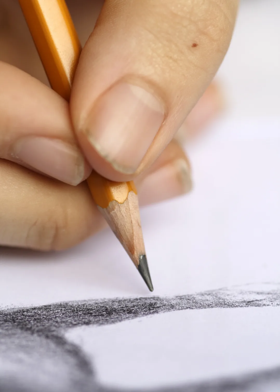 At-Home Private Drawing & Sketching 1.webp